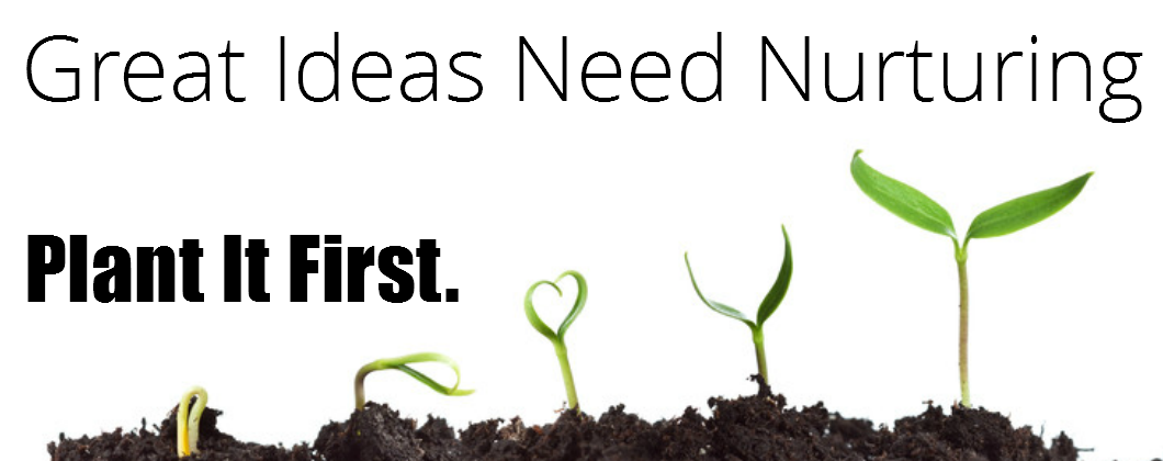 Effecta Growth Consulting Growth Coaching, Accounting, Consulting